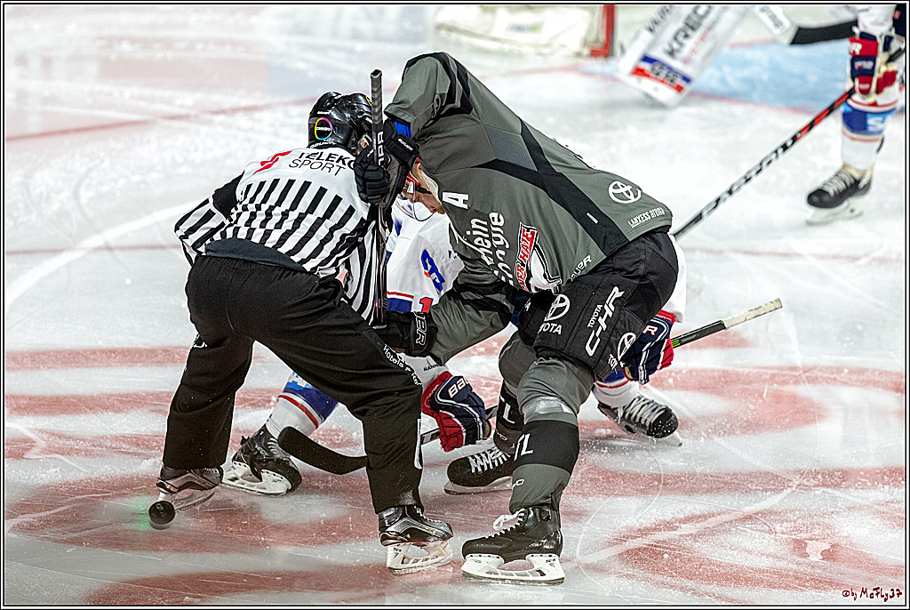 DEL; Koelner Haie - Adler Mannheim, 18.12.2018